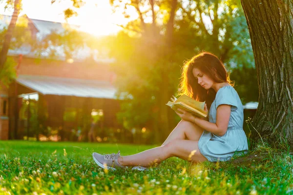 Beautiful Young Woman Dress Sitting Tree Reading Book Green Summer — Foto Stock