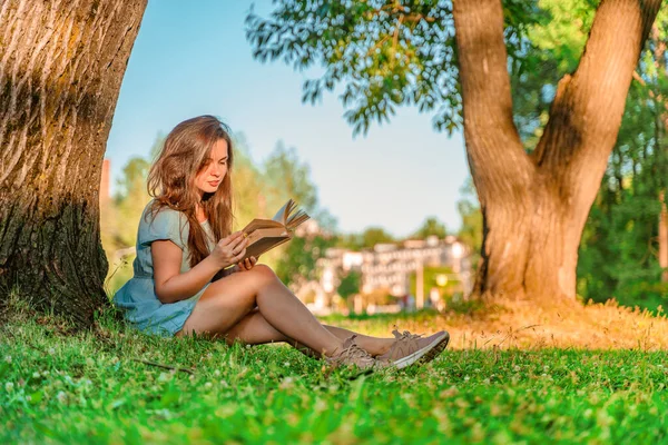 Beautiful Young Woman Dress Sitting Tree Reading Book Green Summer — Foto Stock