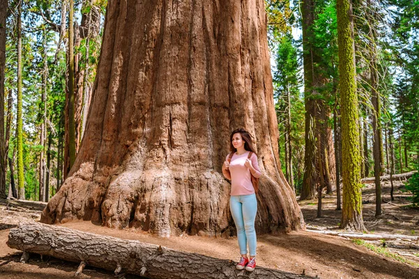 Retrato Una Joven Pintoresco Bosque Parque Nacional Sequoia Estados Unidos — Foto de Stock