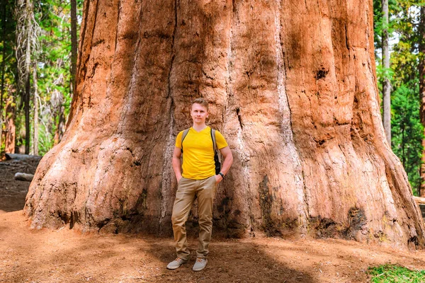 Jeune Touriste Masculin Dans Immense Séquoia Général Sherman Dans Parc — Photo