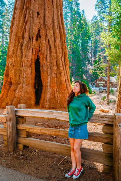 Porträt Einer Jungen Frau Einem Malerischen Wald Sequoia National Park — Stockfoto