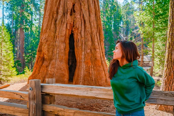 Retrato Una Joven Pintoresco Bosque Parque Nacional Sequoia Estados Unidos — Foto de Stock