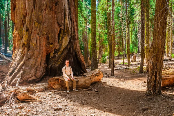 Joven Turista Masculino Enorme Secuoya General Sherman Parque Sequoia Los — Foto de Stock