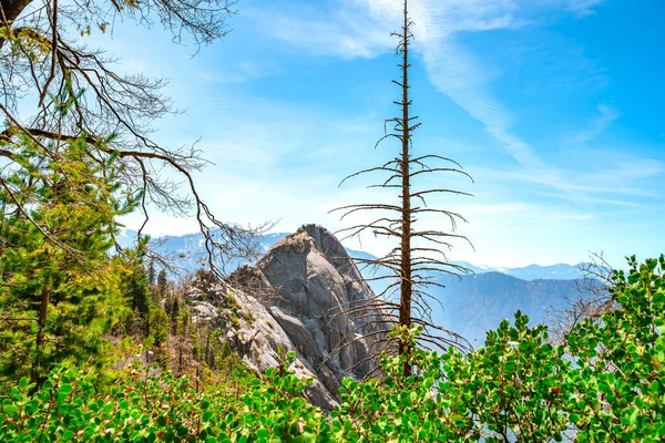 Úžasný Panoramatický Výhled Hory Národního Parku Sequoia Usa Nádherná Scenérie — Stock fotografie