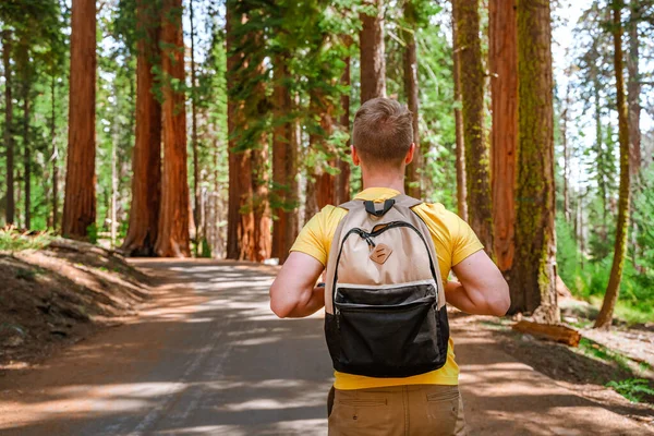 Joven Turista Masculino Enorme Secuoya General Sherman Parque Sequoia Los — Foto de Stock