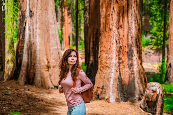 Urocza Młoda Kobieta Plecakiem Spaceruje Wśród Olbrzymich Drzew Lesie Parku — Zdjęcie stockowe