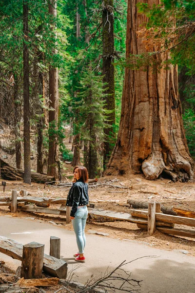 Una Encantadora Joven Con Una Mochila Camina Entre Árboles Gigantes — Foto de Stock