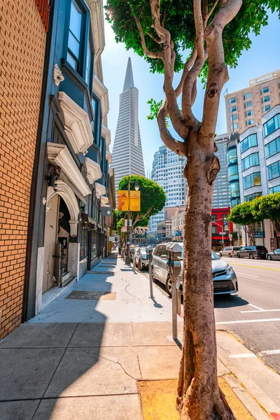 Panorama Prázdné Ulice Obchodním Centru Výhledem Věž Transamerica San Francisco — Stock fotografie