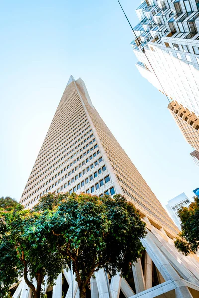 Transamerica Tower Centru San Franciska Krásná Architektura Obchodní Budovy Zavřít — Stock fotografie