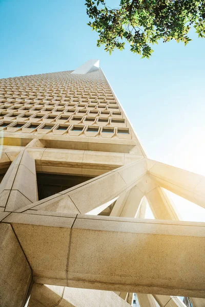 Transamerica Tower Der Innenstadt Von San Francisco Schöne Architektur Eines — Stockfoto