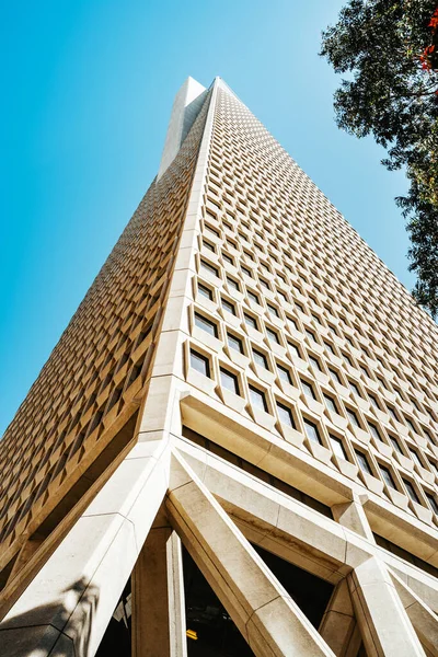 Transamerica Tower Downtown San Francisco Beautiful Architecture Business Building Close — Foto Stock