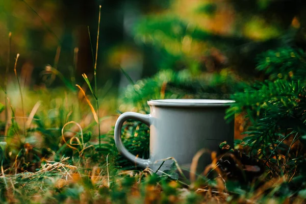 Mug Grass Concept Ecology Tourism — Fotografia de Stock