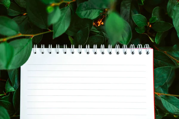 Caderno Branco Branco Sobre Folhas Verdes Parque Espaço Para Texto — Fotografia de Stock