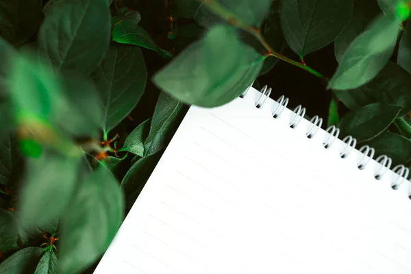 Caderno Branco Branco Sobre Folhas Verdes Parque Espaço Para Texto — Fotografia de Stock