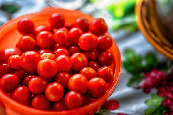 Plate Freshly Picked Cherry Tomatoes Dacha Garden Concept Harvesting — Stock Photo, Image