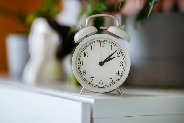 Reloj Despertador Blanco Estante Con Plantas Caseras — Foto de Stock