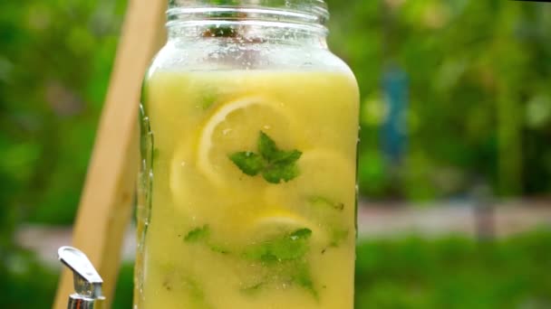 Video Zitrusfrüchte Hausgemachte Limonade Draußen Früchte Mit Einem Löffel Mischen — Stockvideo