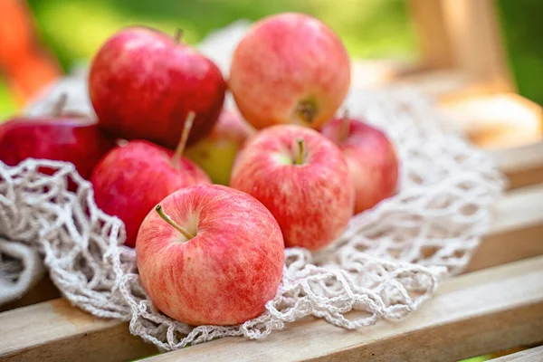 Maçãs Deliciosas Jardim Maçãs Vida Tranquila Uma Grade Rural — Fotografia de Stock