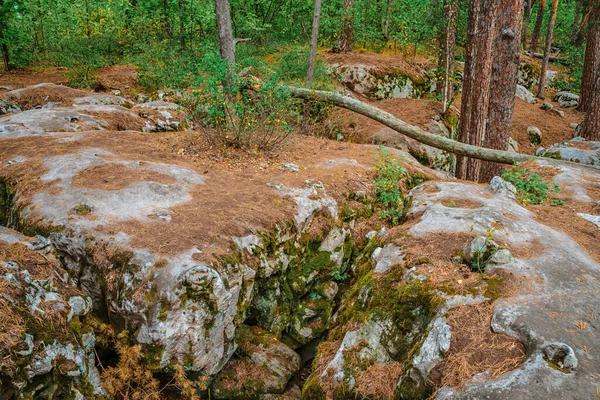 Wild Forest Huge Stones Covered Moss Mystical Natural Landscape Northern — Stock Photo, Image