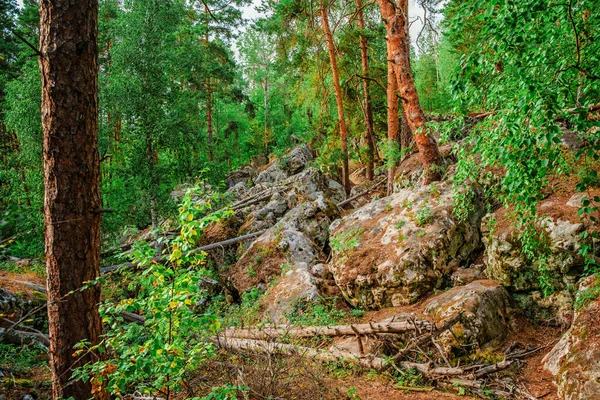 Foresta Selvaggia Con Enormi Pietre Ricoperte Muschio Paesaggio Naturale Mistico — Foto Stock