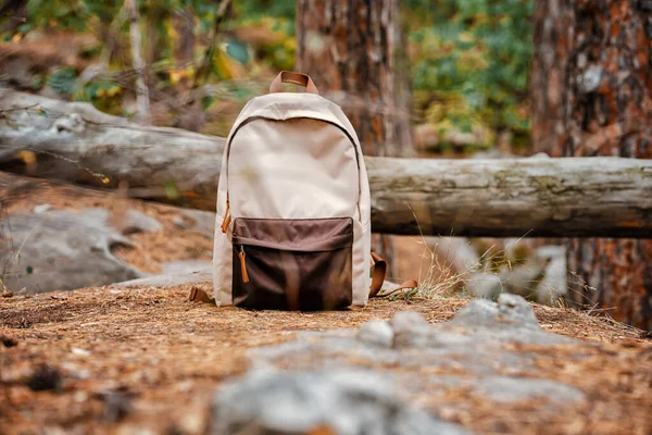 Fashionable Tourist Backpack Forest Concept Hiking Backpack Natural Background — Stock Photo, Image