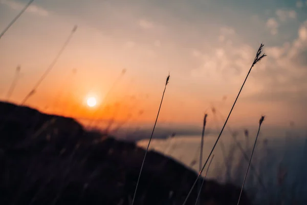 Paisagem Montanhosa Pôr Sol Fotografada Através Dos Ramos Das Árvores — Fotografia de Stock