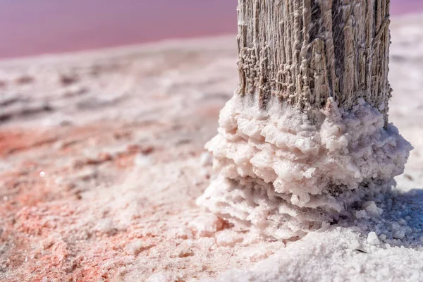 Κομμάτια Αλάτι Ένα Ξύλινο Ραβδί Μια Ροζ Λίμνη Εξόρυξη Αλατιού — Φωτογραφία Αρχείου