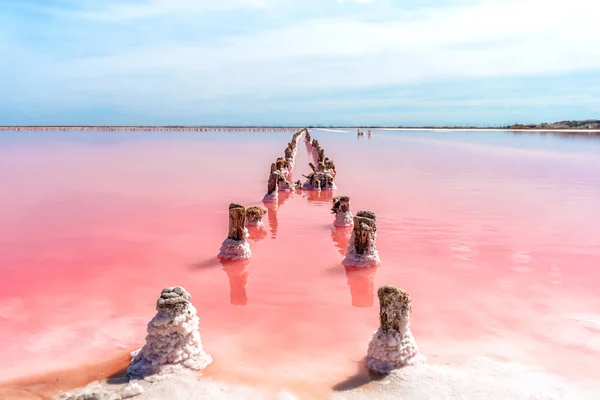 A calm peaceful landscape of a pink salt lake with wooden sticks covered with salt in the Crimea. Extraction of mineral texture organic salt in the lake