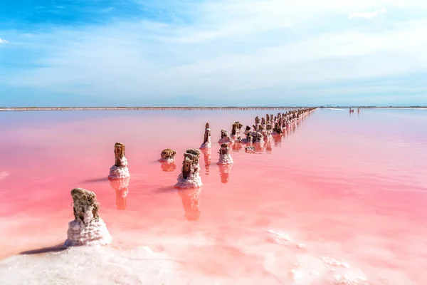 A calm peaceful landscape of a pink salt lake with wooden sticks covered with salt in the Crimea. Extraction of mineral texture organic salt in the lake