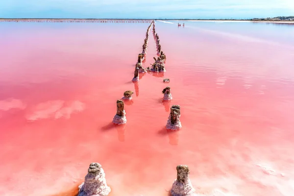 A calm peaceful landscape of a pink salt lake with wooden sticks covered with salt in the Crimea. Extraction of mineral texture organic salt in the lake