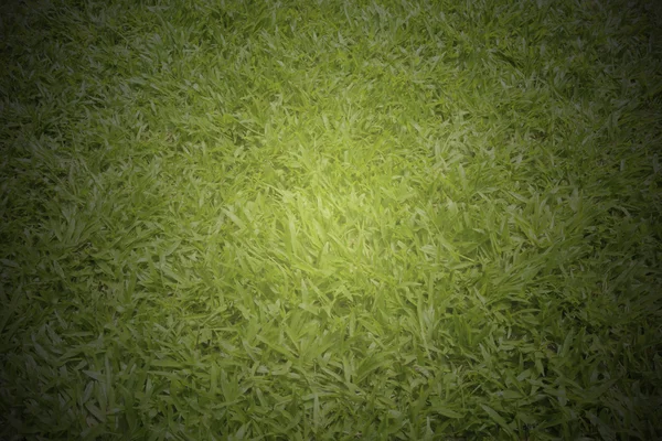Groen gras achtergrond, vintage Toon — Stockfoto