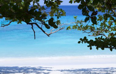 mavi deniz ve güzel plaj 