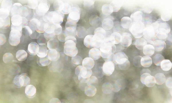 Silver bokeh blur backgroung at day — Stock Photo, Image