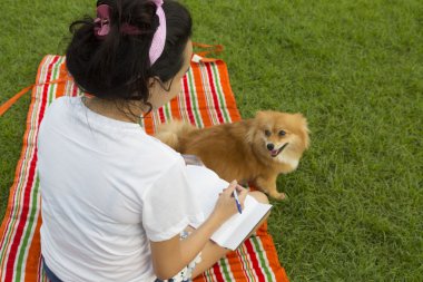çok güzel shin tzu çimenlerin üzerinde bir kızla