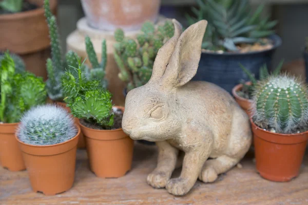 Винтажный кролик керамическая штукатурка с кактусом и суккулентами — стоковое фото