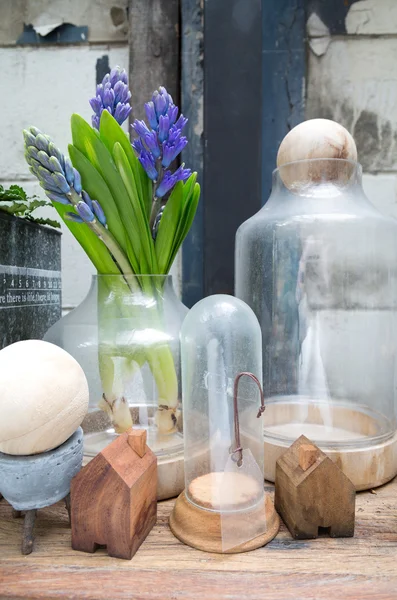 Still life with Hyacinth in vintage cabinet wood at rustic inte — Stock Photo, Image