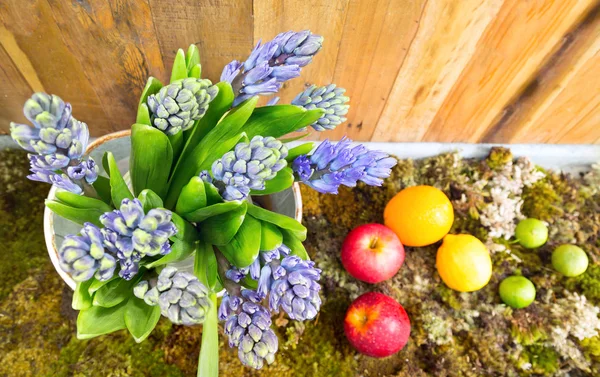 Zátiší s hyacinth na mechu, ovoce a dřeva pozadí na — Stock fotografie
