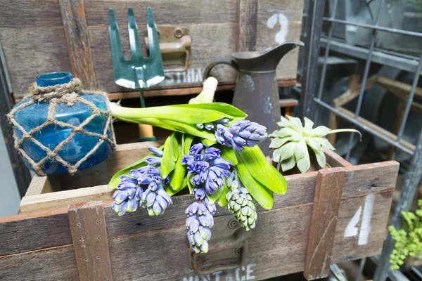 Still life with Hyacinth in vintage cabinet wood at rustic inte — Stock Photo, Image