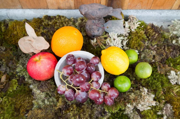 Natura morta di frutta su terra di muschio con coniglio e uccello — Foto Stock