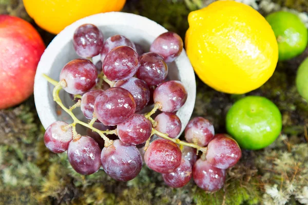 Still life of fruit on moss ground with rabbit and bird — Stock fotografie