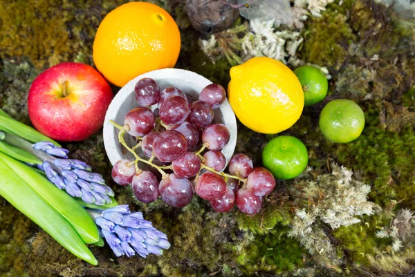 Still life of fruit on moss ground with rabbit and bird, Hyacint — Stock fotografie