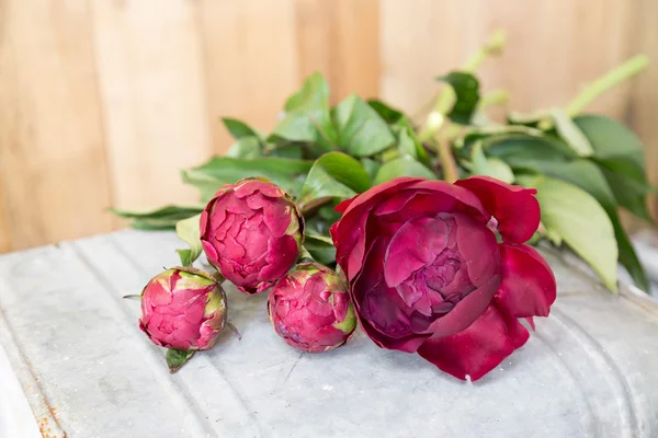 Group of red peony flowers on wooden background — Stock Photo, Image