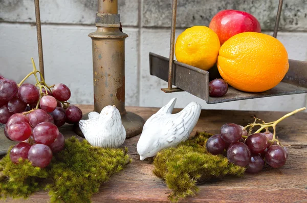 Still life of fruit and bird  ceramic plaster round plant at hou — 스톡 사진