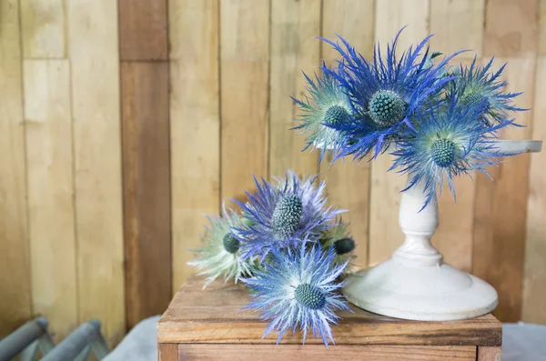 Eryngium planum Blue Sea Holly flowers on wooden background — ストック写真