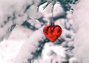 Noel ağacının arka planında, kardaki kırmızı kalp ile kış ormanlarındaki çam dalları fotokopi alanı ile kaplıydı. Yeni yıl tatili, Noel kutlaması, tebrik kartı. Mutlu Noeller.