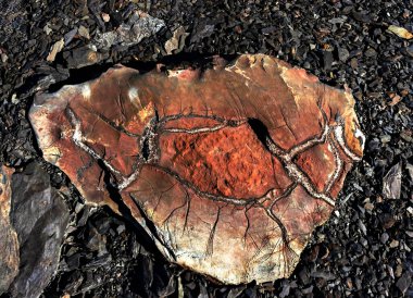 Küçük çakıl taşlarının arasında büyük bir dağ taşı var. Doğal soyut arka plan, taş yapı ve doku, jeoloji. Taşın Kalbi