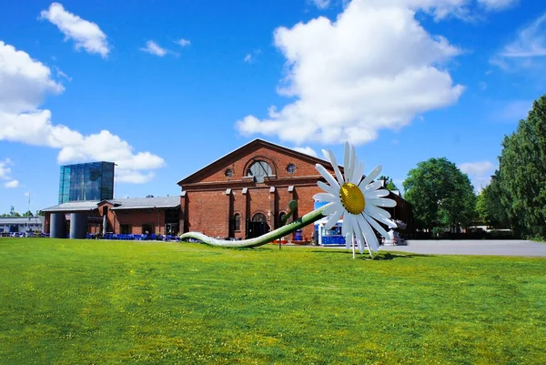 Instalação Flores Gigantes Camomila Grama Verde Cidade Turku Finlândia Grande — Fotografia de Stock