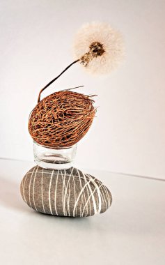 Soyut Dengeli Geometrik minimalist, doğal nesnelerle dolu modern yaşam. Yumuşak karahindiba, büyük tropikal tohum, çakıl taşı ve beyaz zemin üzerinde cam. Uyum ve denge kavramı