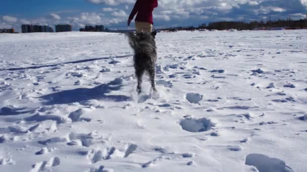 Joven Mujer Espalda Una Chaqueta Roja Caminando Largo Campo Nieve — Vídeos de Stock