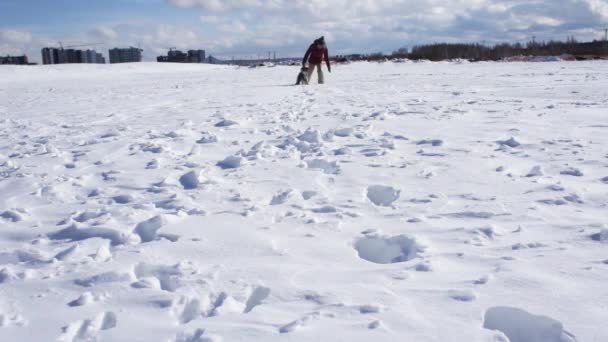 Młoda Kobieta Biegająca Polu Śnieżnym Przez Zaspy Śnieżne Siwy Kudłaty — Wideo stockowe